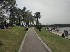 -美兰湖景区