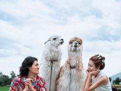 -爱我旅拍婚纱摄影(大理店)