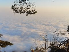 -瓦屋山景区