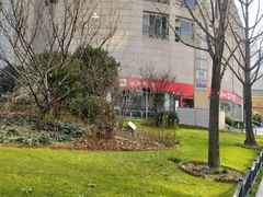 -上海明天广场JW万豪酒店