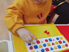 -金色雨林学习力培优(专注力提升)