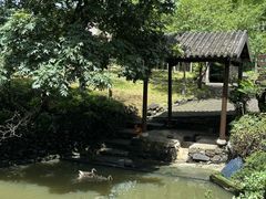-木子山庄·安徽省老字号·中国炖锅宴