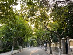 -八大关景区