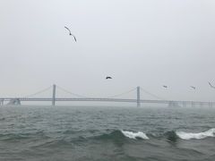 -星海湾跨海大桥
