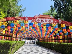 -大槐树寻根祭祖园