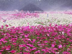 -海心沙亚运公园