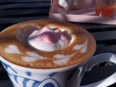 -喵屿·大理花园猫咖