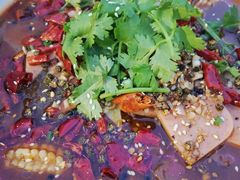 -东家小院金汤酸菜鱼(南阳路店)