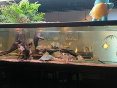 -阿泽料理