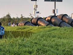 -南汇嘴观海公园