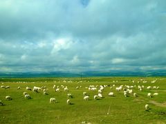 -青海湖国家重点风景名胜区