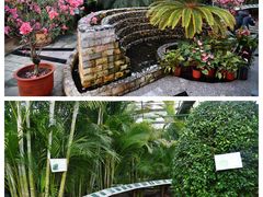 -陆地游轮吉林神农温泉