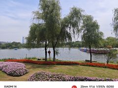 -武汉园博园(武汉自然博物馆)