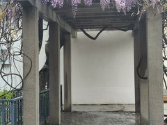 -西苑公园