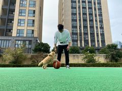 -翊宠yipet猫狗购宠庄园犬舍•猫舍