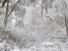 -萍乡武功山风景名胜区