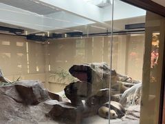 -宁波野生动物园