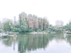 -晓港公园