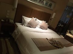 -电谷雅阁国际大酒店