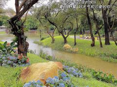 -人民公园(罗湖区)