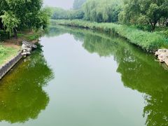 -大兴滨河森林公园