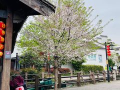 -鸣鹤古镇