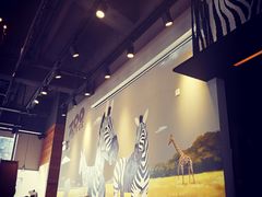 -ZOO COFFEE 动物园咖啡(亦庄店)