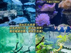 -郑州海洋馆