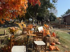 -HERRE·FARM 赫尔露营农场·团建聚会包场