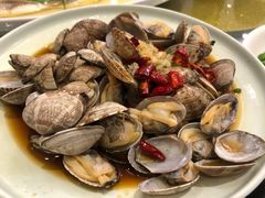 葱油花蛤-高老庄新家宴(北斗星广场店)