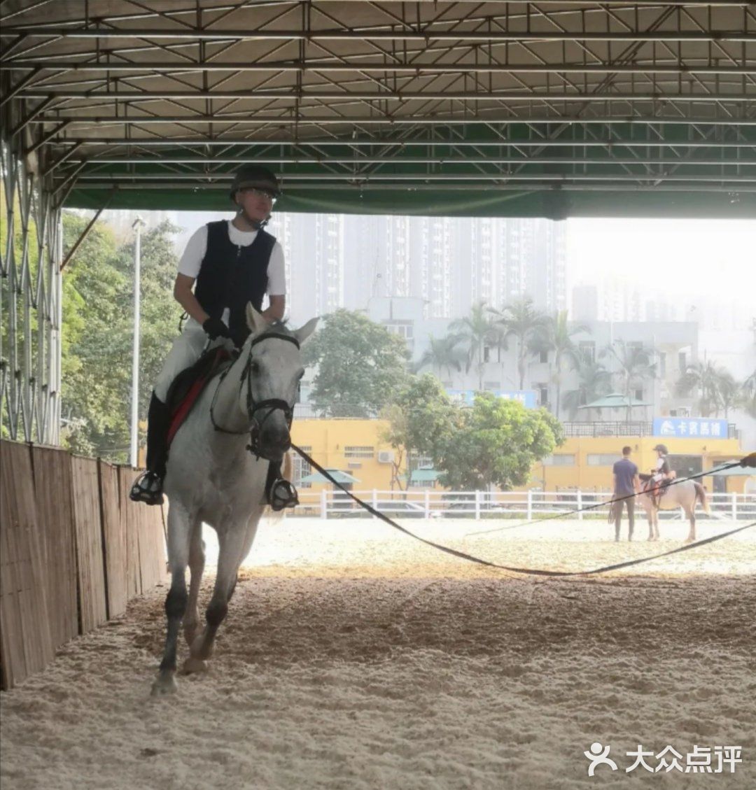 小众运动✔马术🏇🏻