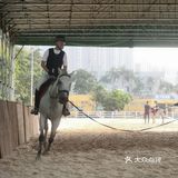 小众运动✔马术🏇🏻