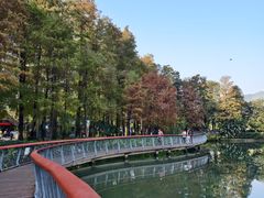 -四海公园(南山区)