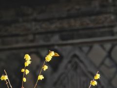 -西安化觉巷清真大寺