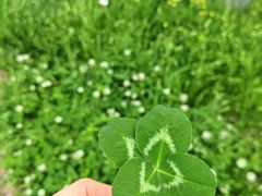 -渭河城市绿地运动公园