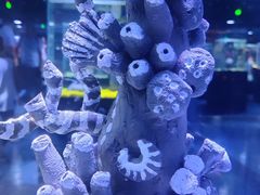 -海合安天津极地海洋公园