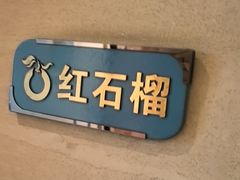 -大鸭梨烤鸭(顺义石园店)