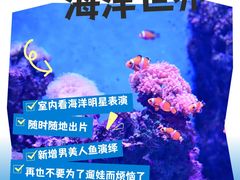 -石家庄极地海洋世界