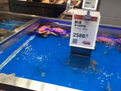 -盒马鲜生(大成店)
