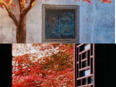 -留园