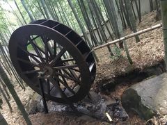-江南天池