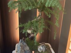-大拙里·精致融合菜(沙湖桃源国际店)