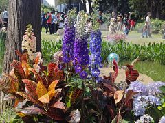 -人民公园(罗湖区)