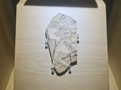 -辽宁古生物博物馆