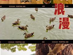 -小狗面馆(复兴店)