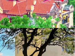 -青岛金沙滩