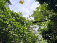-广州市白云山风景名胜区