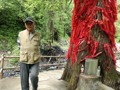 -凤凰山国家森林公园