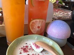 -菌自由丨野生菌火锅特色庭院餐厅(丽江古城店)
