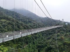 -南丹山森林王国